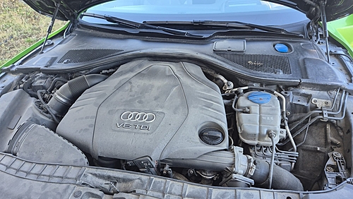 Motor
