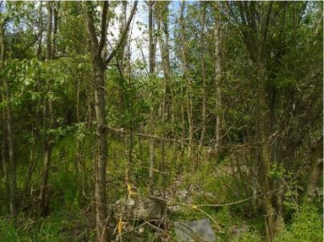 Teren construibil - intravilan in suprafata de 5001 MP