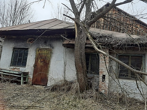 poza 8