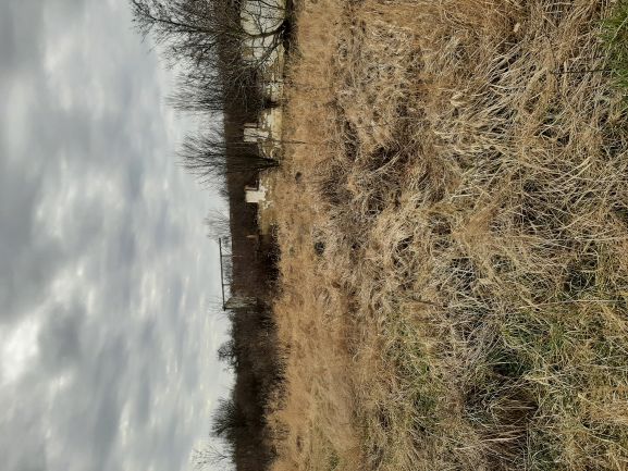 Foto teren 8 - de la distanta