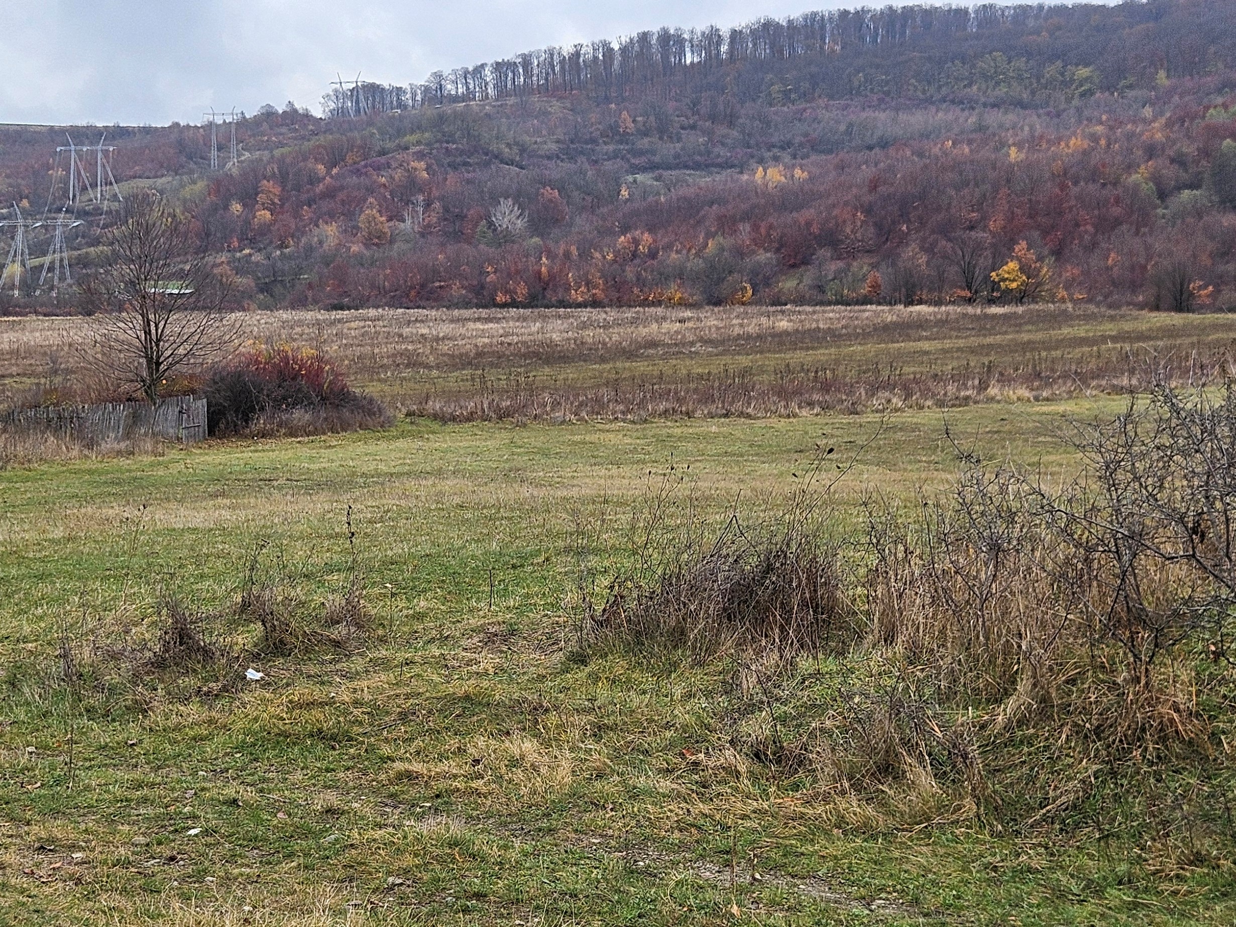 Teren agricol - teren extravilan arabil neimprejmuit in suprafata de 1700 MP