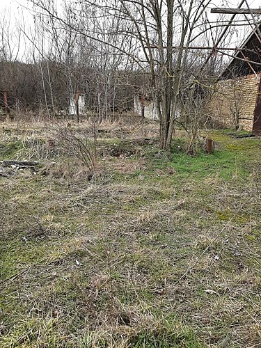 Foto teren 7