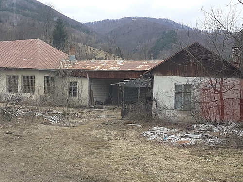 poza 5