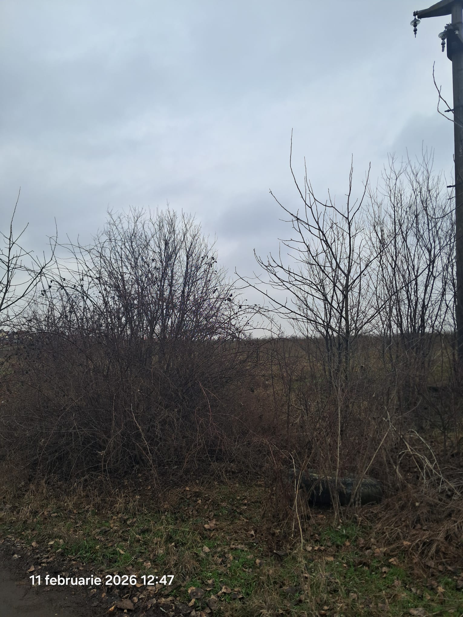 Teren agricol - Intravilan in suprafata de 1000 MP