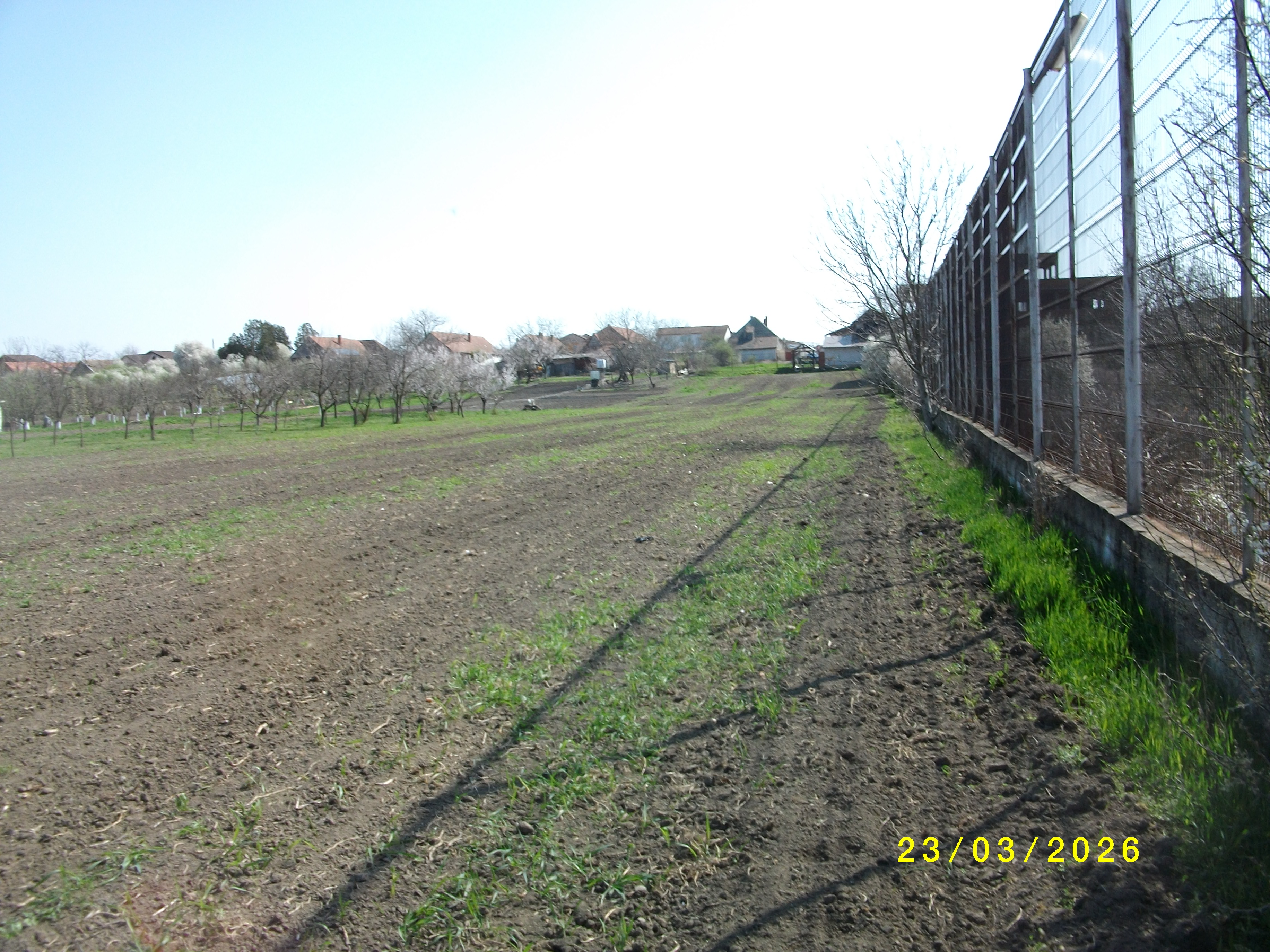 Teren arabil - intravilan in suprafata de 2002 MP