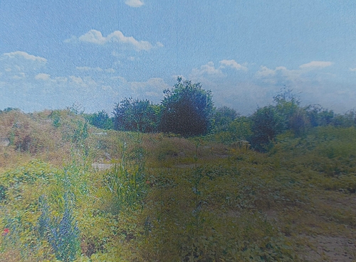 POZA 7