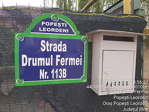 Poza 8