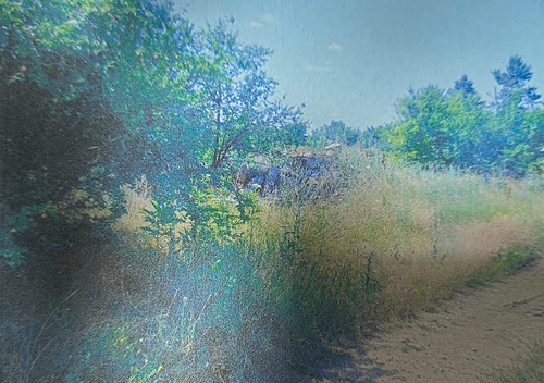 POZA 9