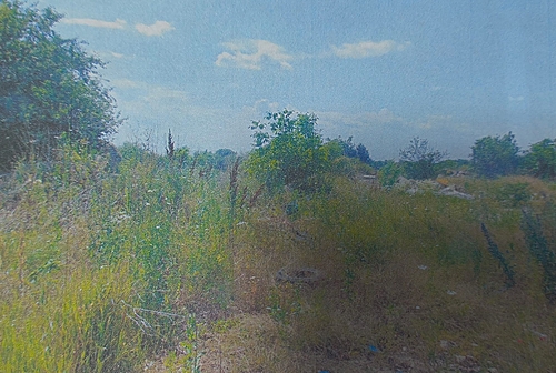 POZA 3