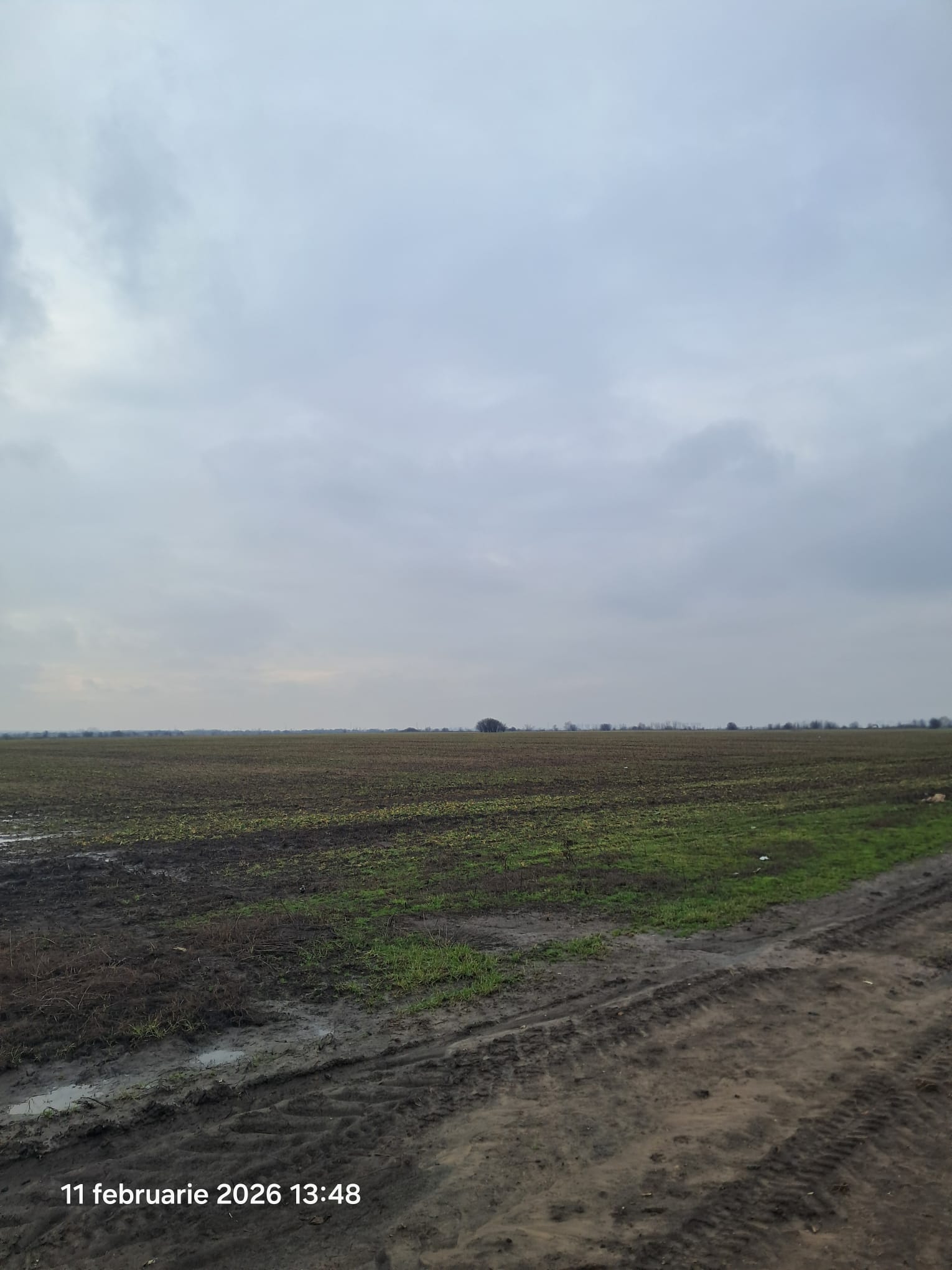 Teren agricol - Extravilan in suprafata de 25000 MP