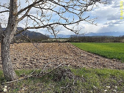 foto2