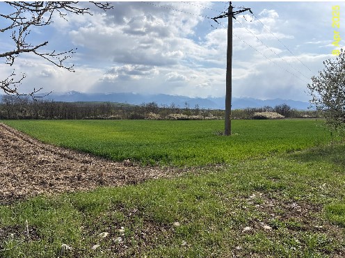 Teren agricol - in suprafata de 3.500 mp