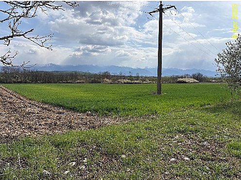 foto1