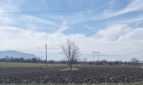 teren