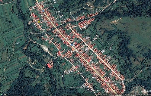 Poza 7