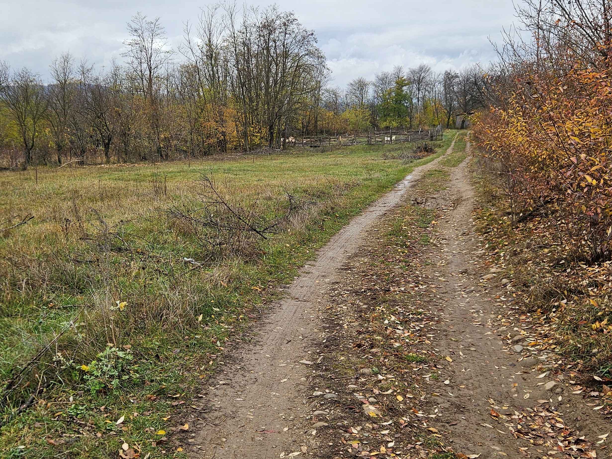 Teren agricol - TEREN EXTRAVILAN NEIMPREJMUIT in suprafata de 1800 MP