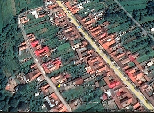 Poza 10