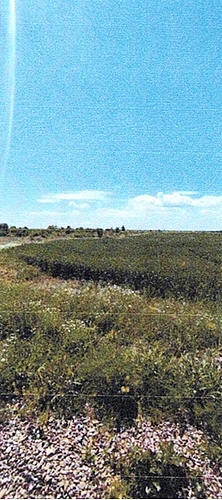 POZA 4