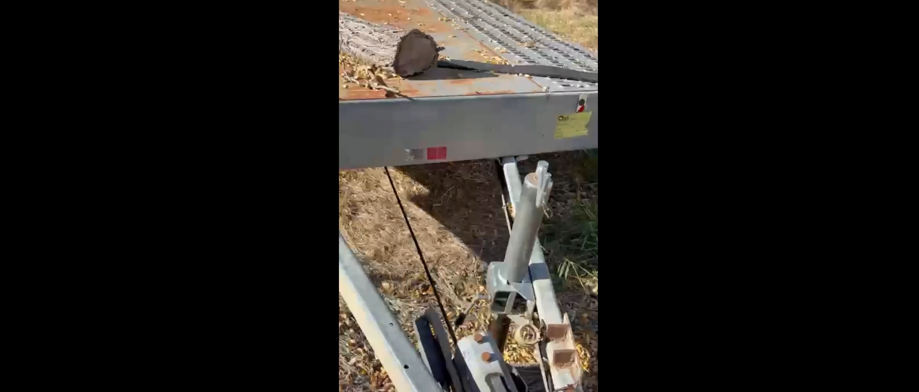 Thumbnail - Remorca (platforma) Blyss