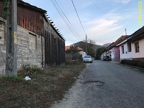 Poza 1