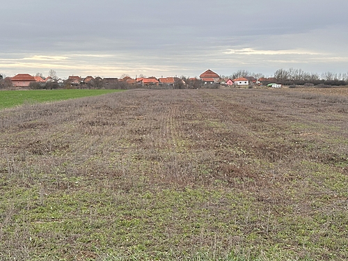 Teren agricol