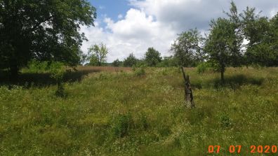 Faneata - extravilan CF 81281, UAT Nucsoara, Judetul Arges