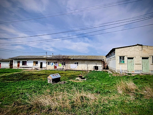 poza 5