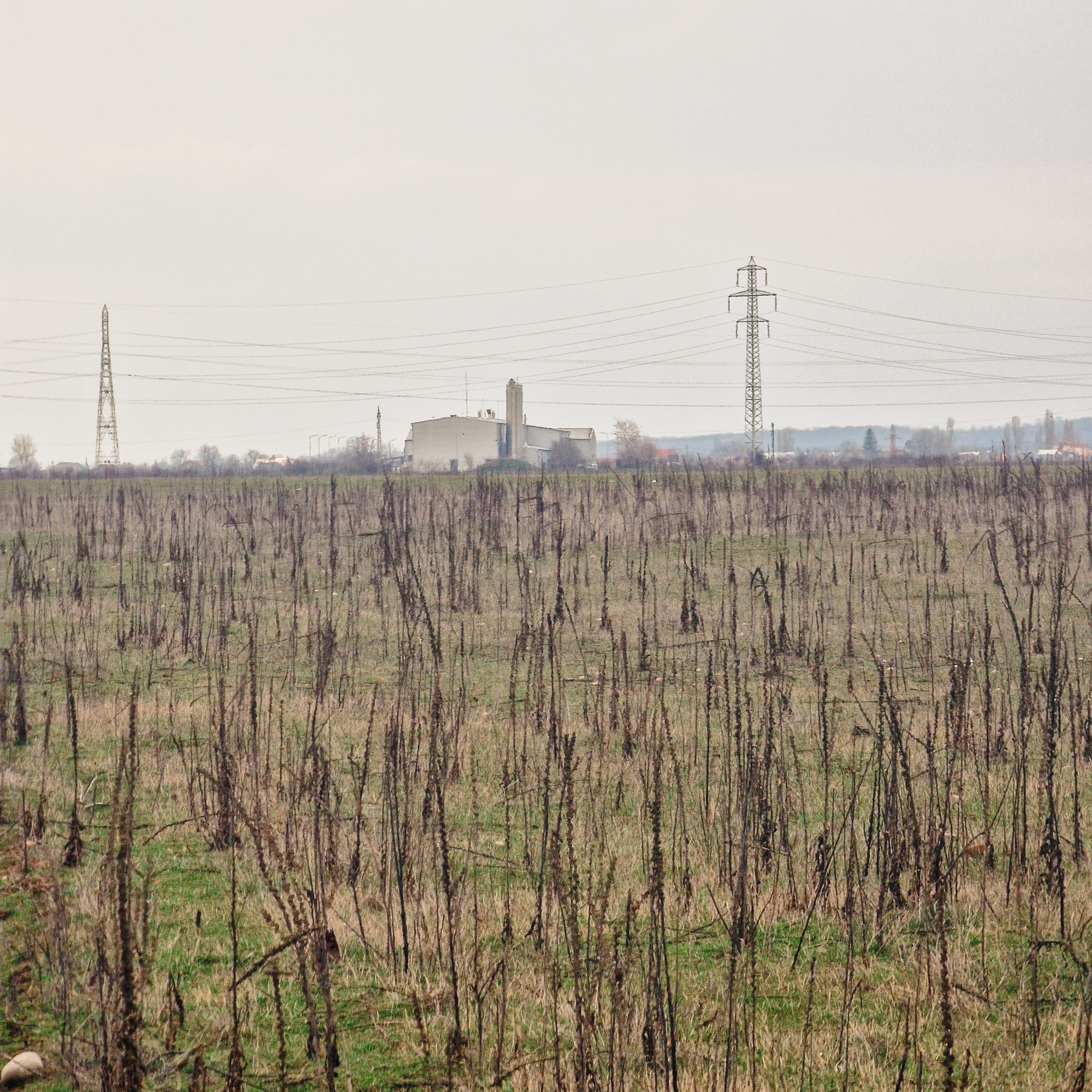Teren extravilan situat in comuna Floresti, judetul Prahova