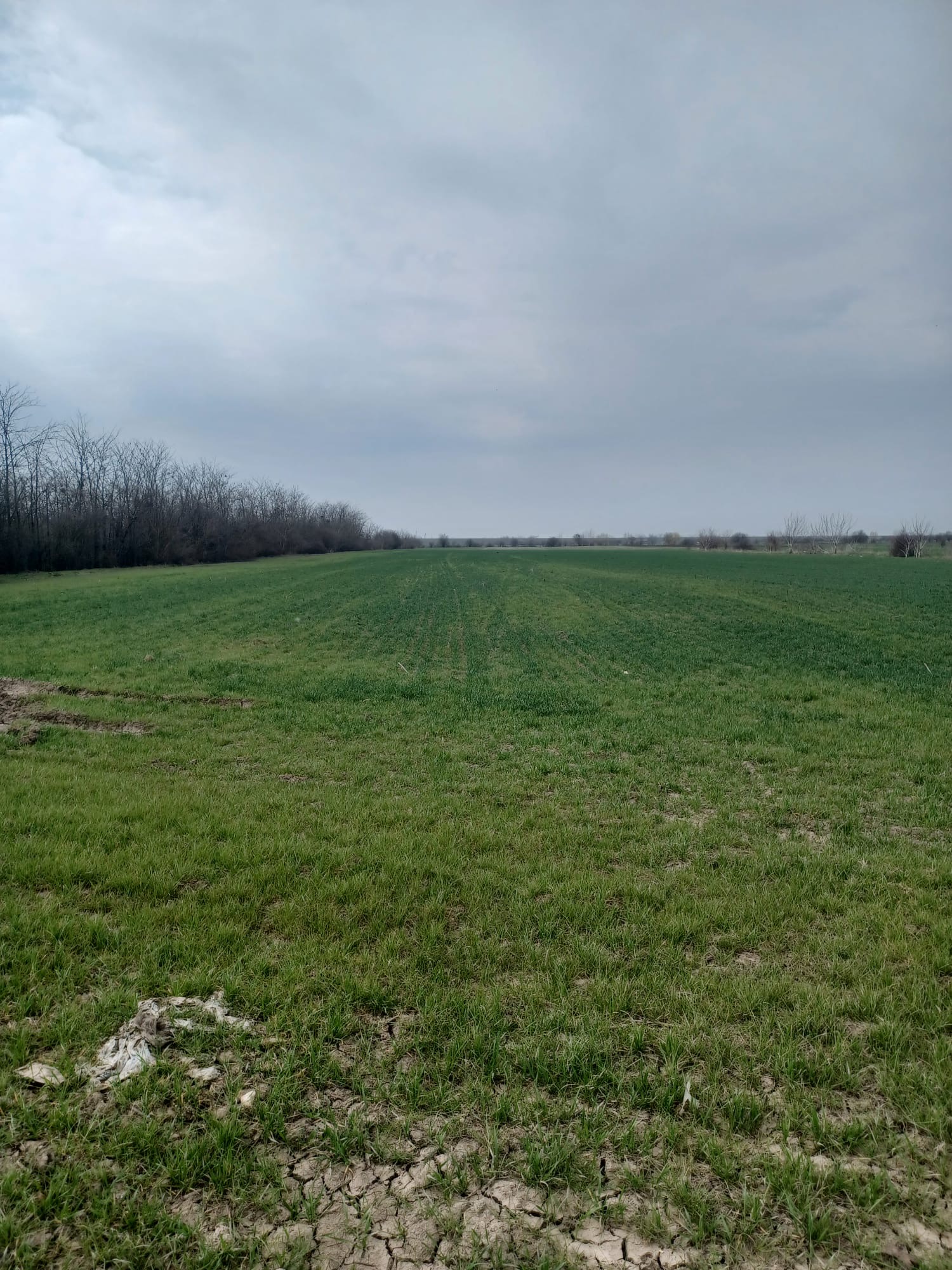 Ansamblu de bunuri imobile situat in loc. Cornetu, jud. Ilfov