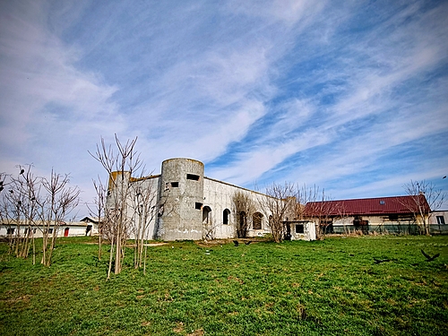 poza 6