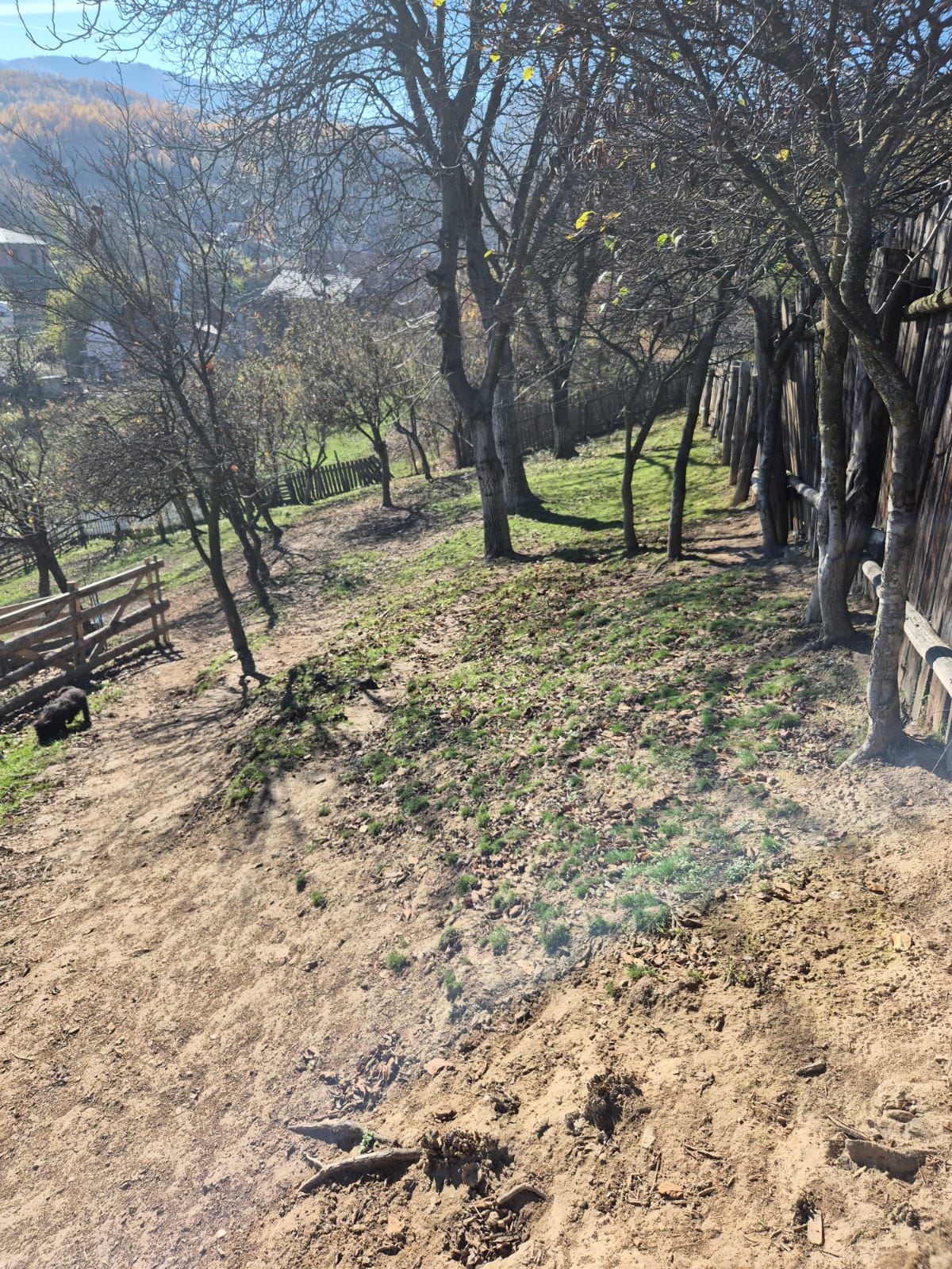 Teren intravilan situat în loc. Orlat, jud. Sibiu