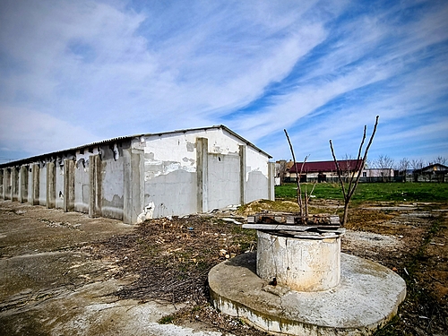 poza7