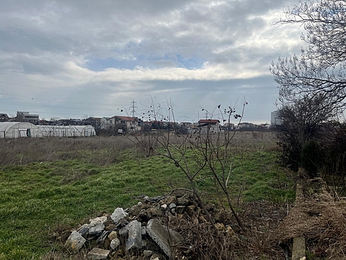 poza 5