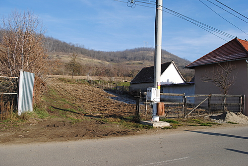 Poza 5