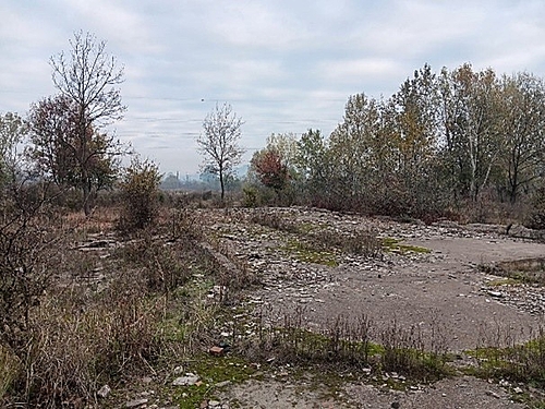 Poza5