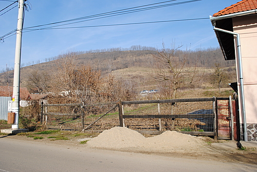 Poza 4