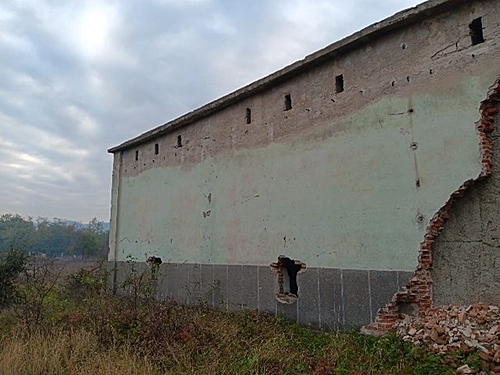 Poza6