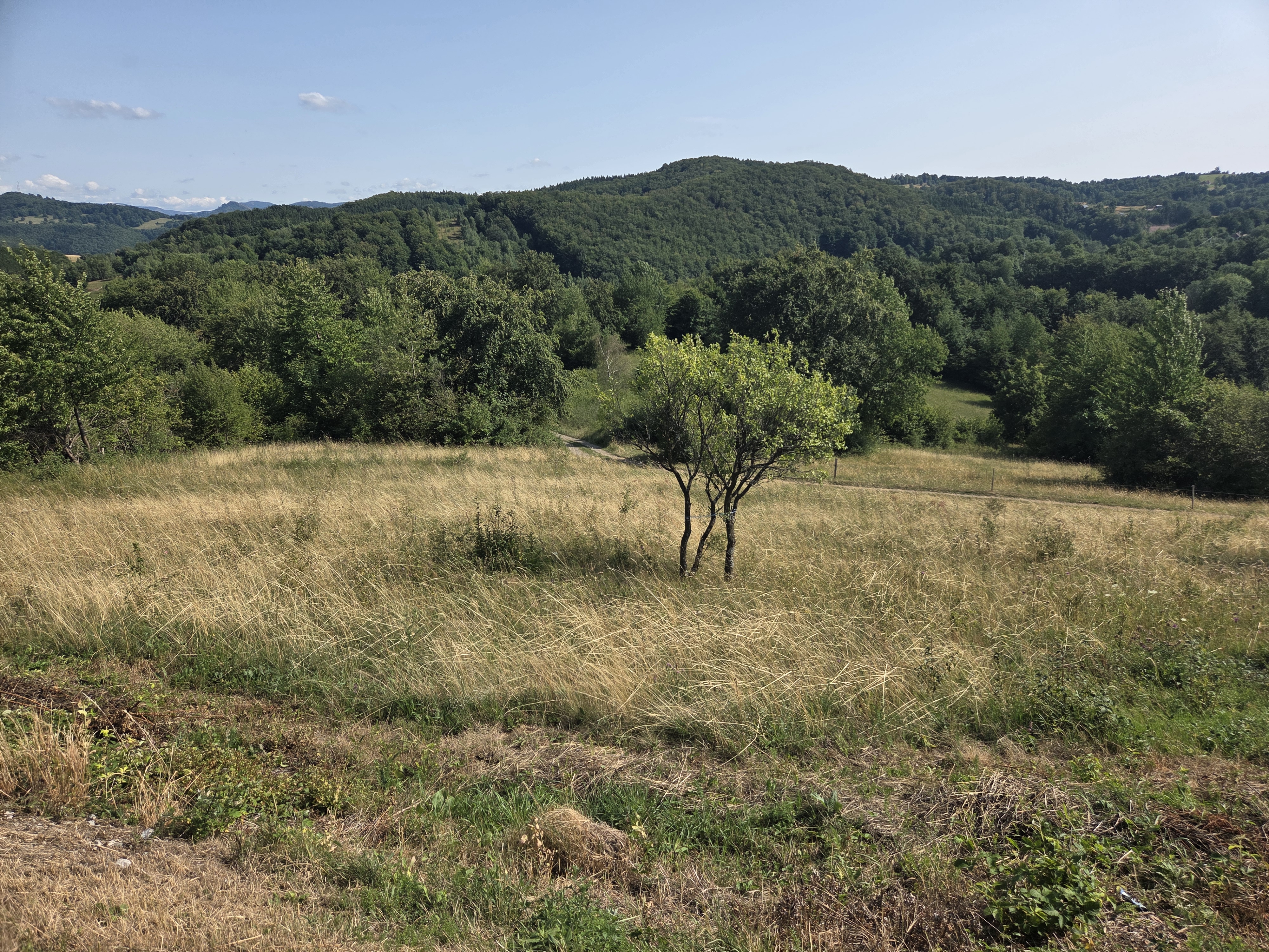 Thumbnail - video 1 - foto 1