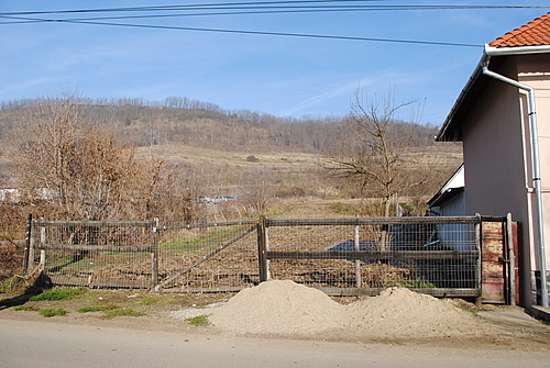 Poza 3