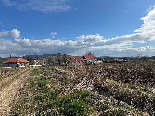 Poza3