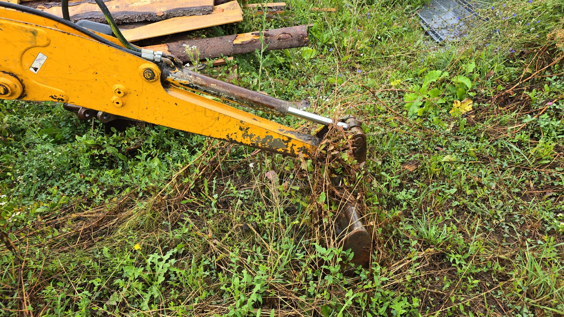 Thumbnail - film 1, poza 5