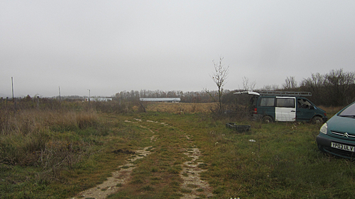 poza 3