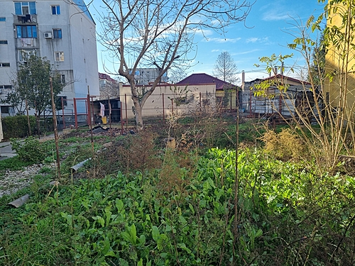 poza 4