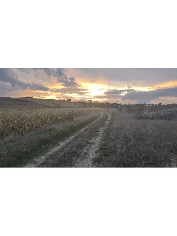 Teren intravilan categorie de folosinta arabil, situat in Loc.Deusu, Com.Chinteni, Jud.Cluj