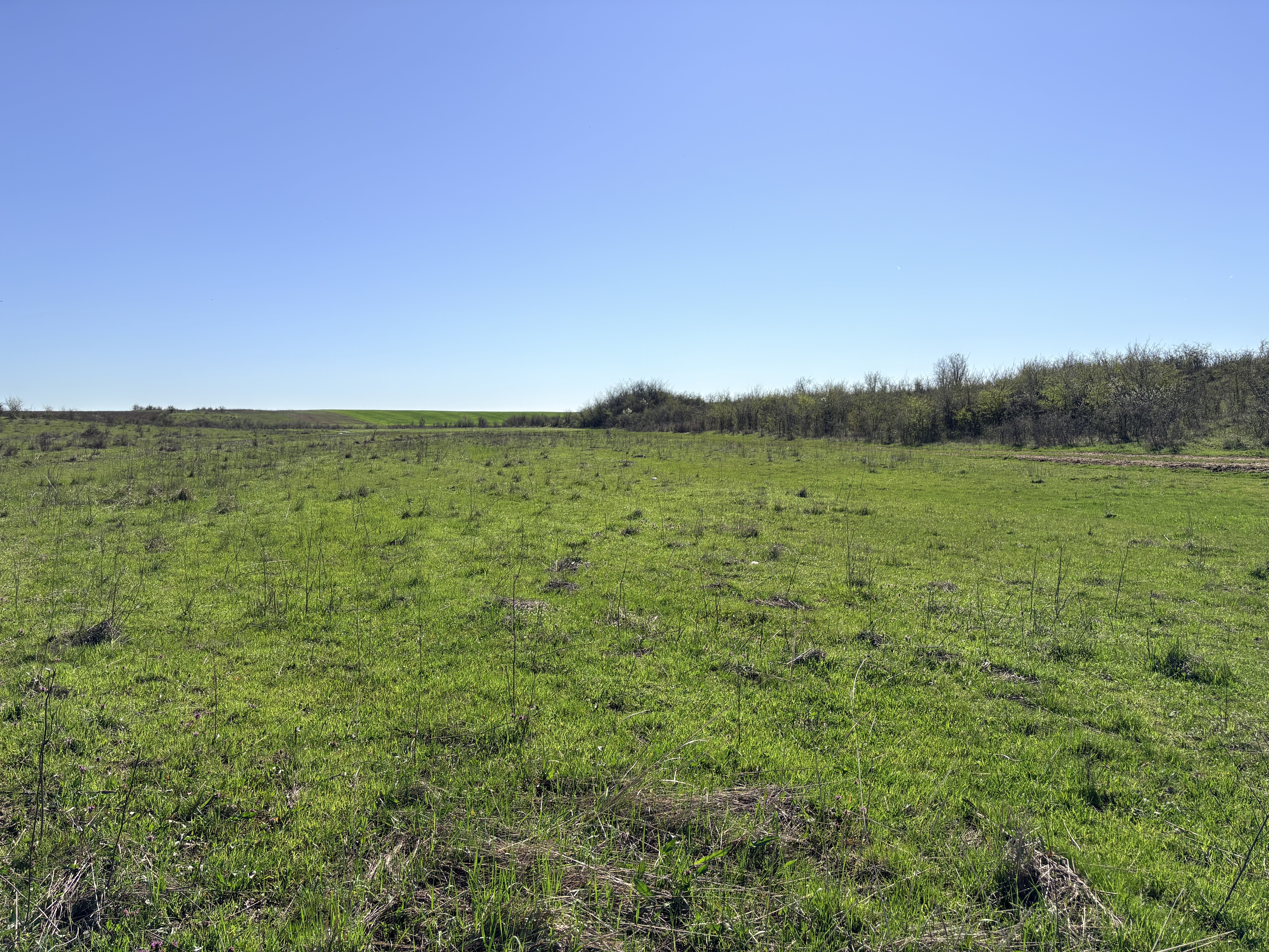 Teren agricol - EXTRAVILAN in suprafata de 14307 MP