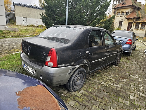 Poza 6
