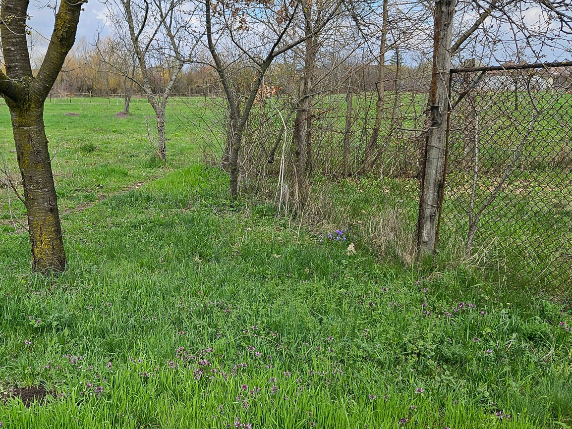 Teren intravilan livada