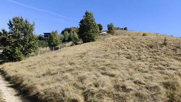 Teren extravilan categoria de folosinta pasune, adresa Jud.Cluj, UAT Ciurila