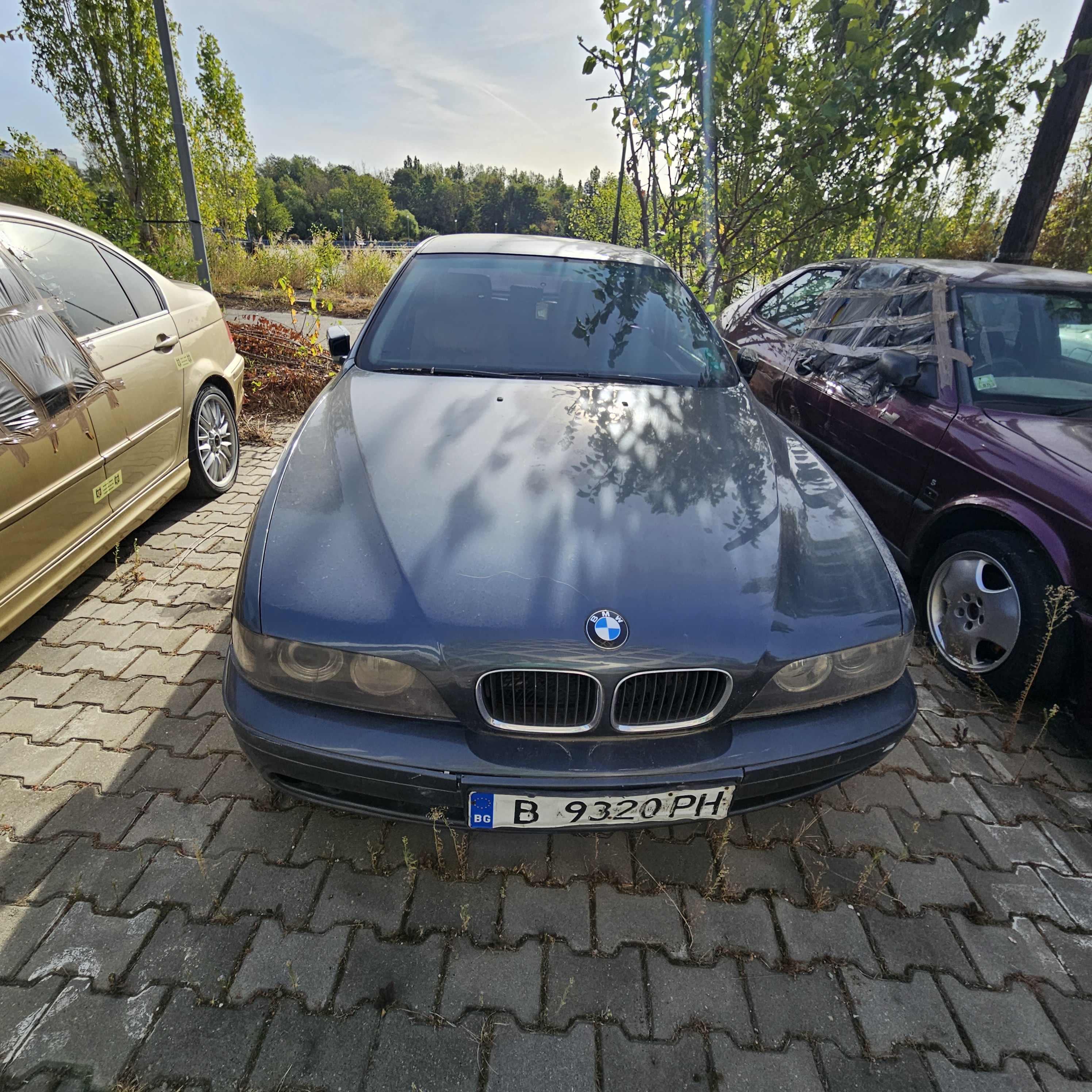 BMW 530D, nr. inmatriculare B 9320 PH(Bulgaria)