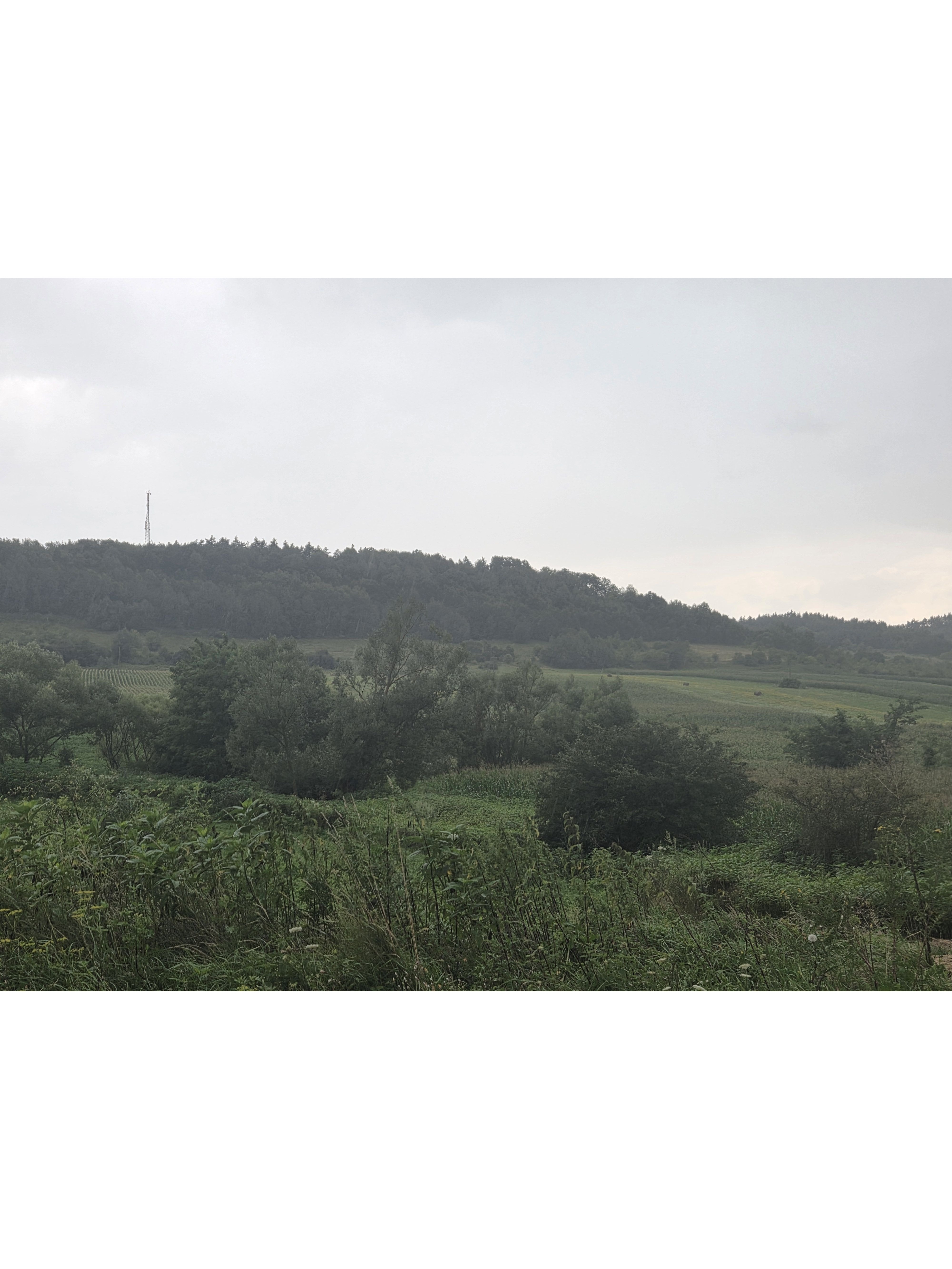 Teren intravilan arabil , adresa Jud. Cluj, UAT Aschileu, Loc. Aschileu Mare nr.61